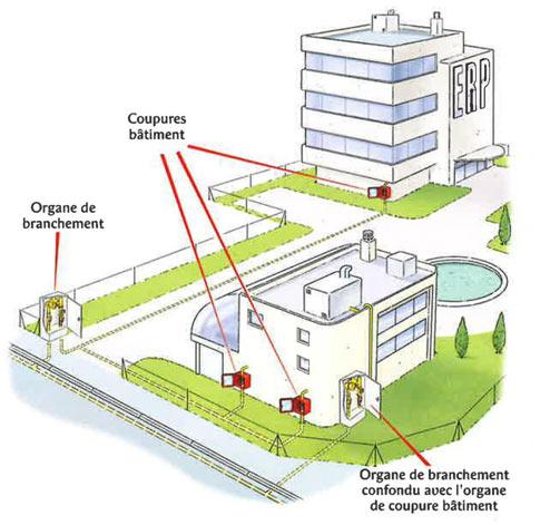 Exemple d'implantation des organes de coupure et de branchement dans un ERP