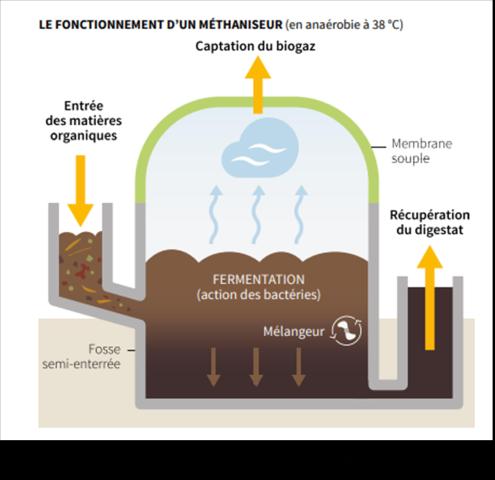 Fonctionnement schématique d'un méthaniseur