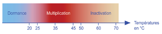 Evolution des légionnelles en fonction de la température de l’ECS  Source : guide RAGE – Installation d’eau chaude sanitaire - novembre 2014