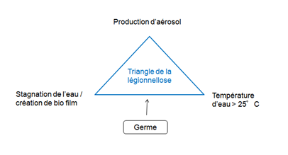 Le triangle de la légionellose