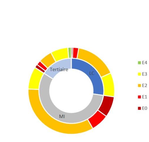 Niveaux d'énergie atteints par type d'usage