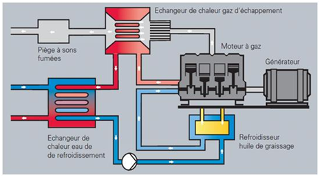 Principe de fonctionnement d’un module de cogénération (Source : Viessmann)