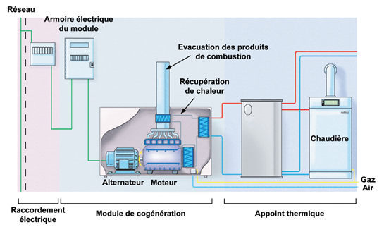 Schéma de principe d’une installation de cogénération