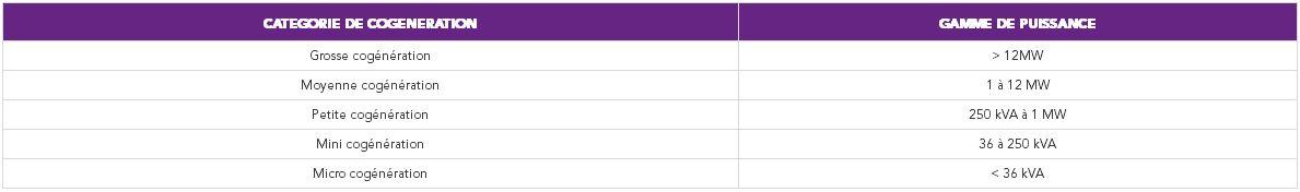 Classification des systèmes de cogénération