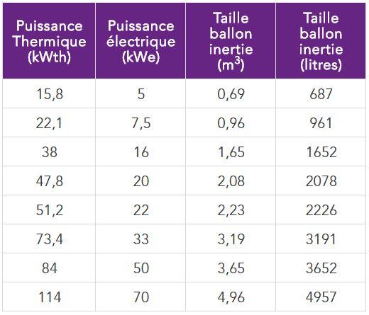 La taille des ballons nécessaires pour la gamme d’un des fabricants présents sur le  marché français