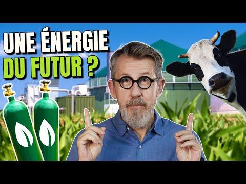 Epicurieux :  Le biogaz, une solution pour remplacer les énergies fossiles ?