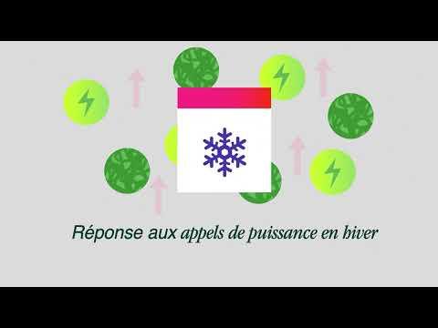 Décarbonation des bâtiments : le rôle clé des gaz verts Décarbonation des bâtiments : le rôle clé des gaz verts