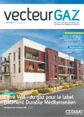 Couverture du vecteur gaz numéro 133