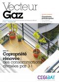 Vecteur gaz 118 - Couverture