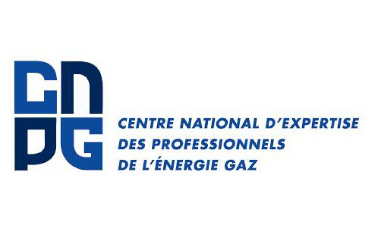 Logo CNPG