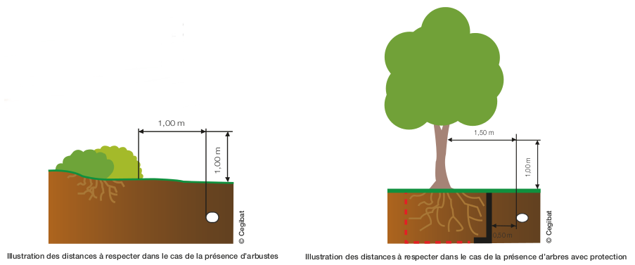 Distances à respecter entre les ouvrages gaz et les arbres ou autres végétaux