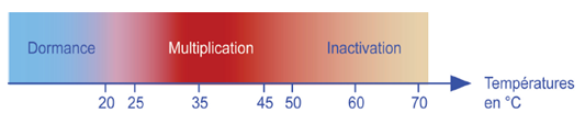 Evolution des légionnelles en fonction de la température de l’ECS  