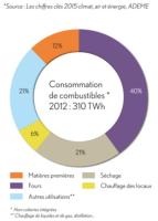 Consommation de combustibles 2012 : 310 TWh